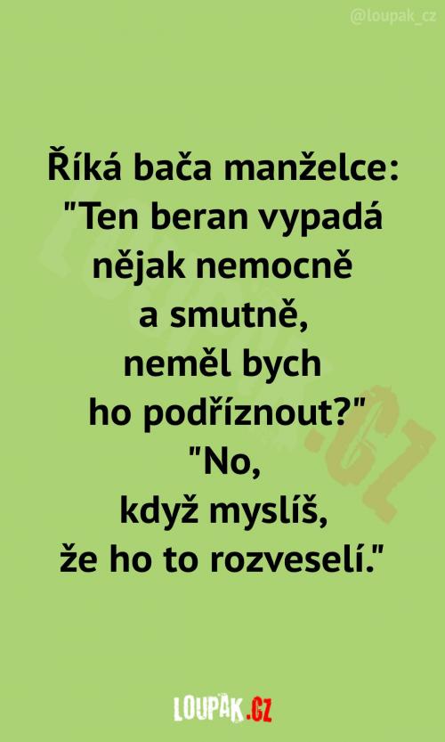  Vypadá to na odborníky přes dobytek 