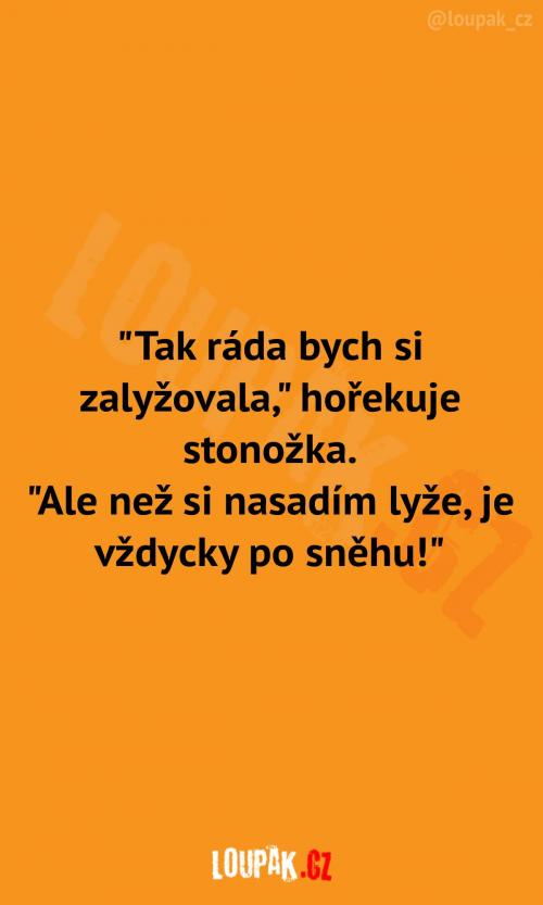  Proč stonožka nestihne lyžovačku 