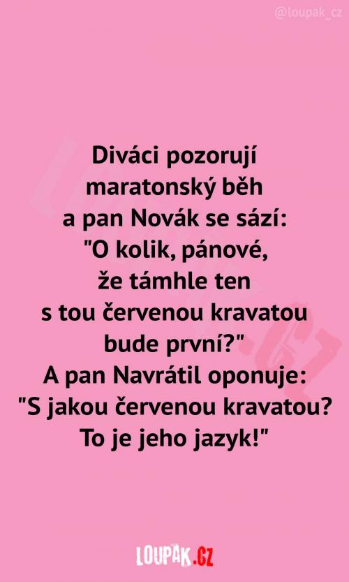  Je to přece jasný favorit 
