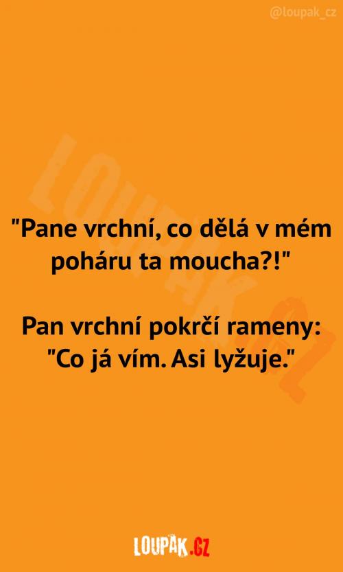  Proč je v poháru moucha 