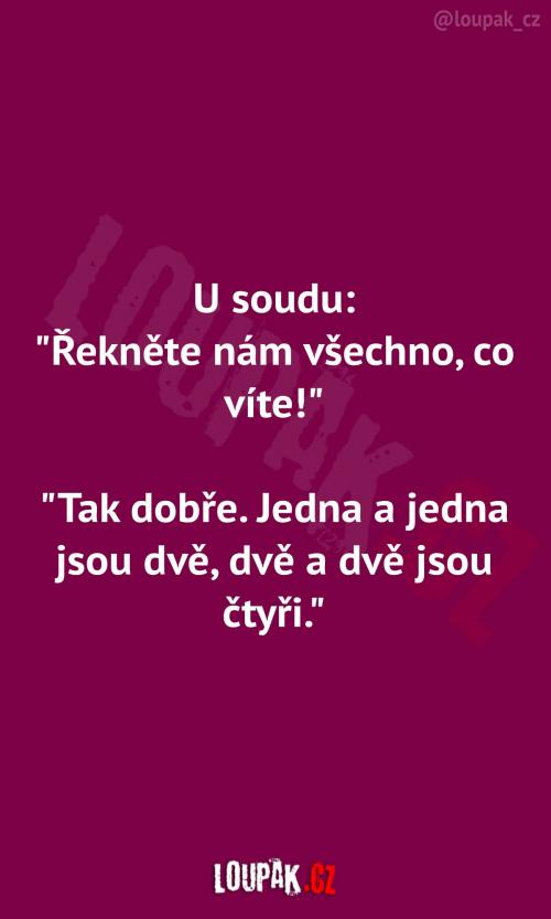  Když chtějí u soudu vědět vše 