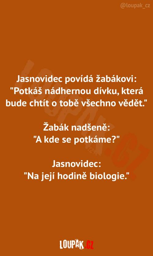  Krásná předpověď pro žabáka  