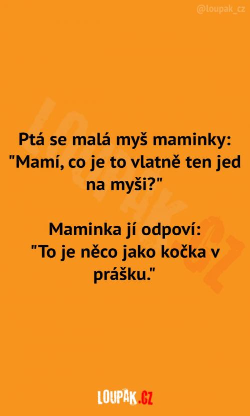 Co je jed podle myší