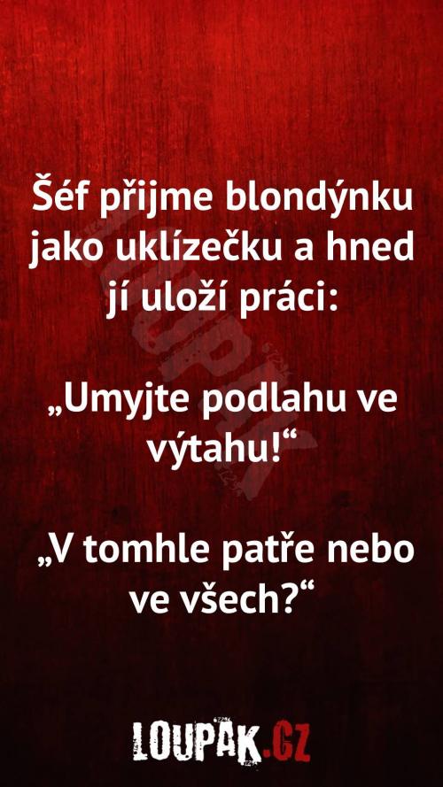 Proč je blondýnka uklízečka 