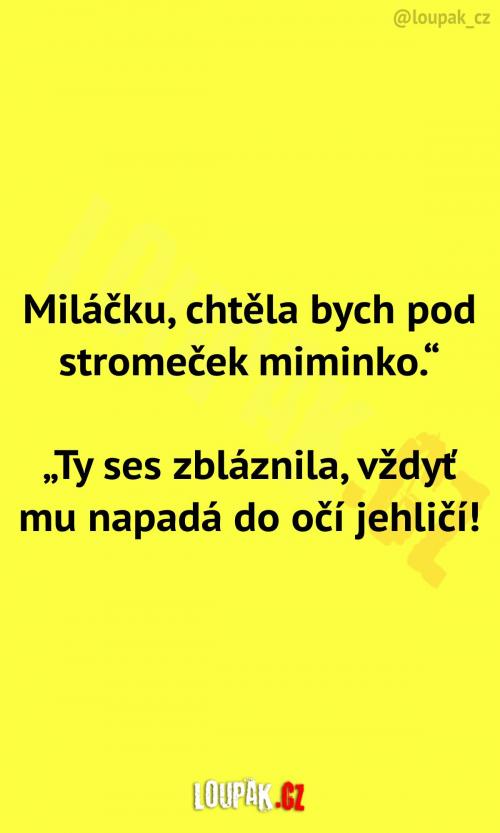  Manželka se asi úplně zbláznila 