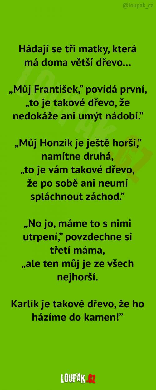  Kdo má doma větší dřevo? 
