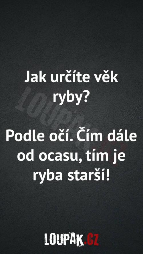  Jak určit věk ryby... 