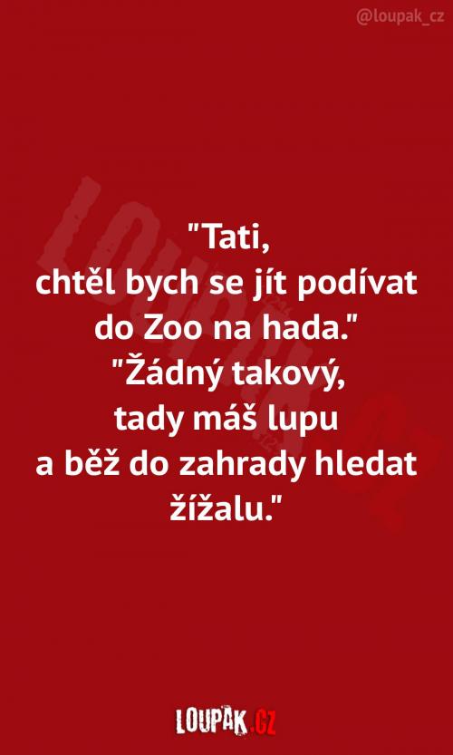  To je teda dětství za všechny peníze 