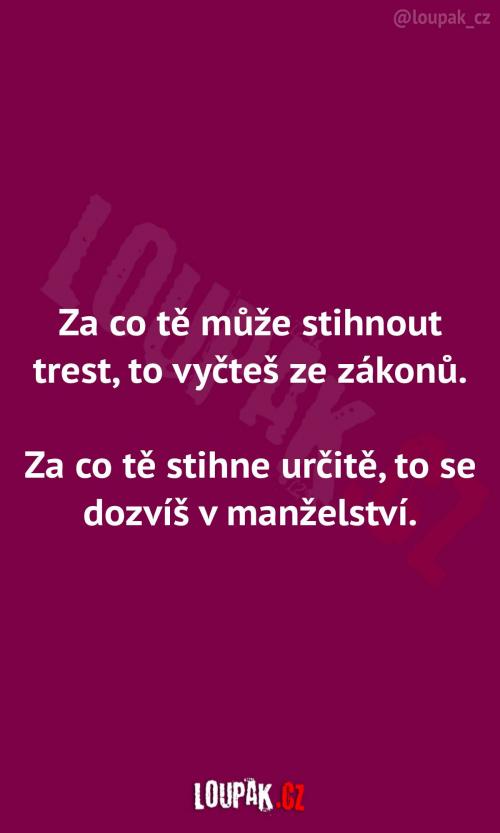  Za co tě trest určitě stihne 