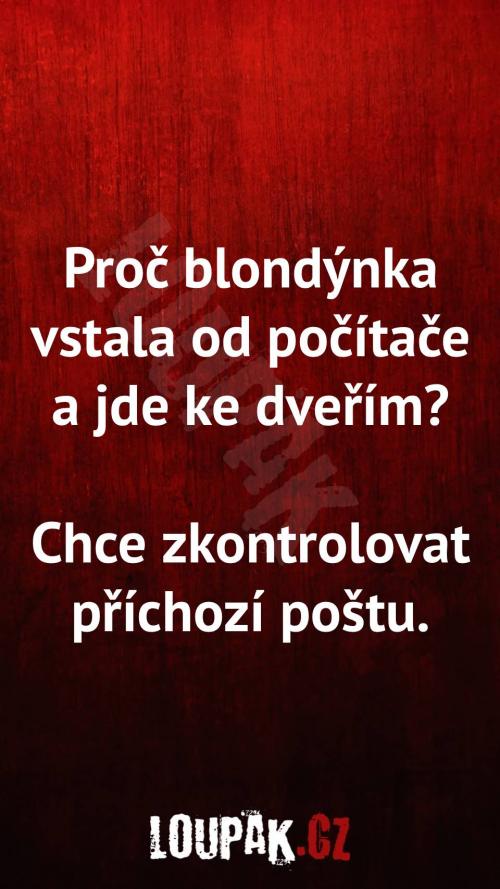  Proč blondýnka vstala od počítače a jde ke dveřím 