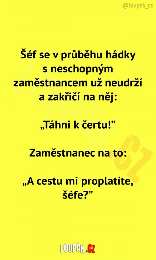  Šéf vs. neschopný zaměstnanec 