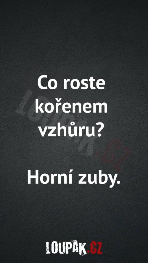  Co roste kořenem vzhůru 