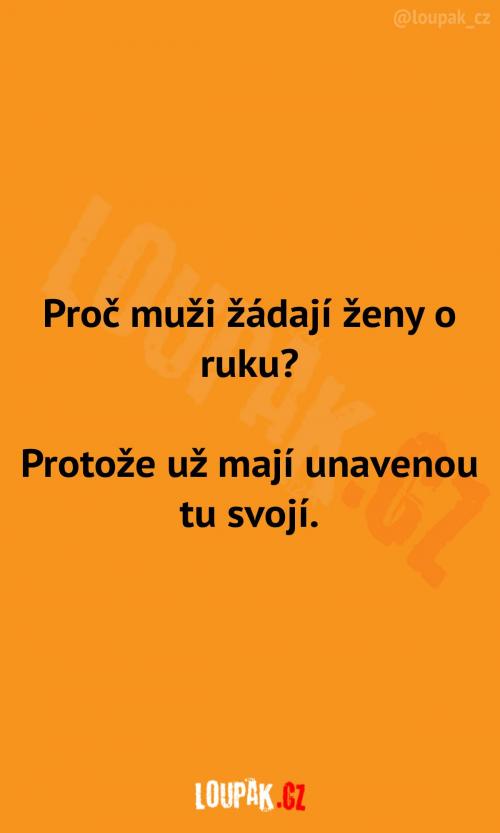  Skutečný důvod žádosti o ruku 