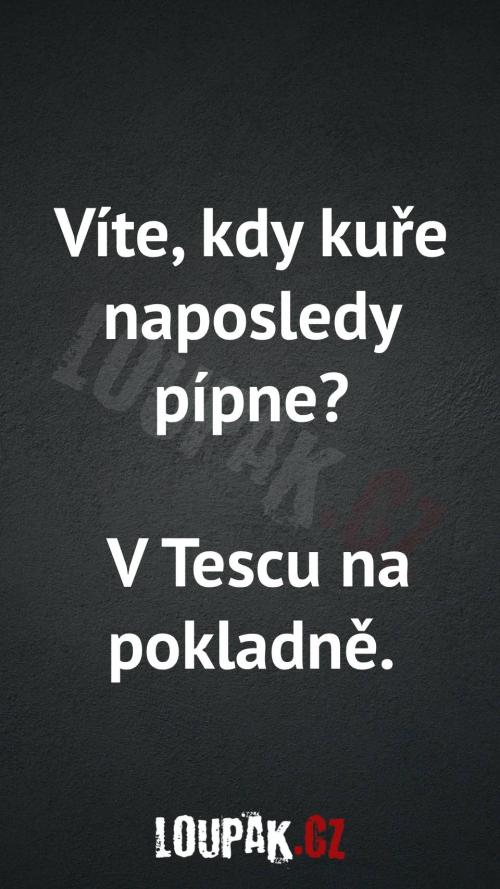 Kdy kuře naposledy pípne