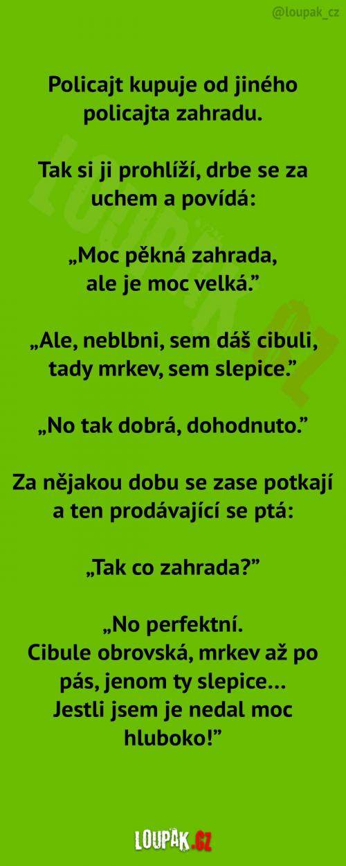 Dobrá koupě zahrady... 