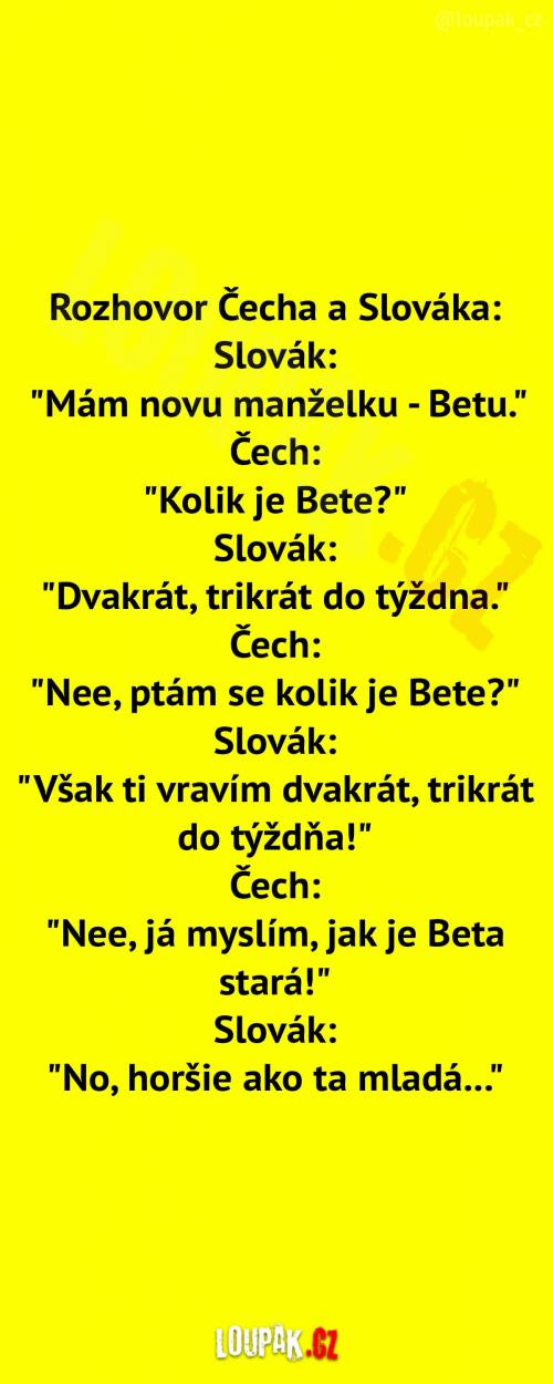 Když se baví Čech a Slovák 