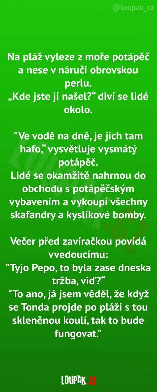  Nejlepší byznys plán 