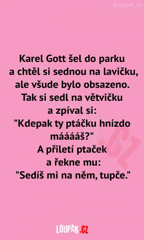  Když jde Kája na procházku 
