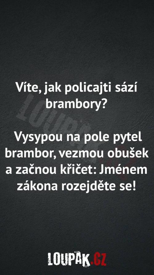  Jak policajti sází brambory 