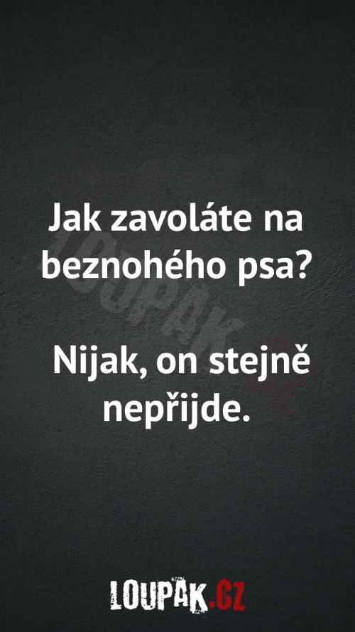  Jak zavoláte na beznohého psa 