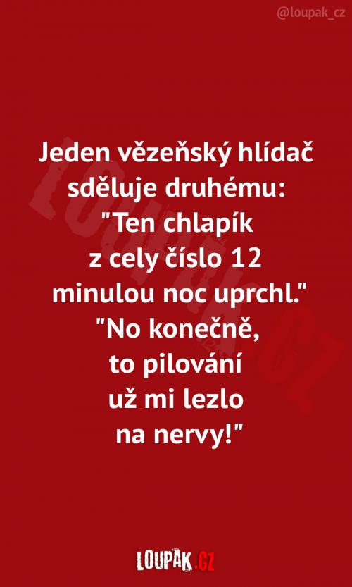  Hlavně, že svou práci dělají dobře 