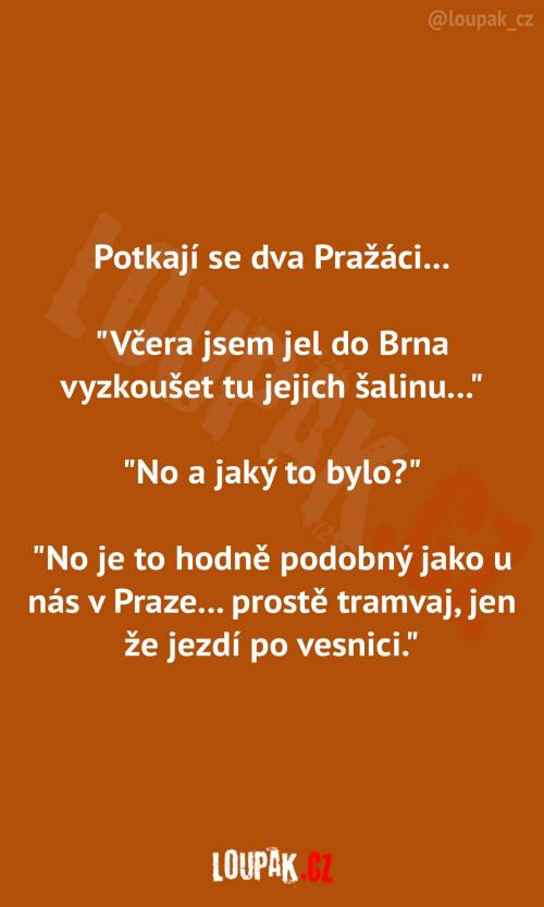  Dva Pražáci v Brně   