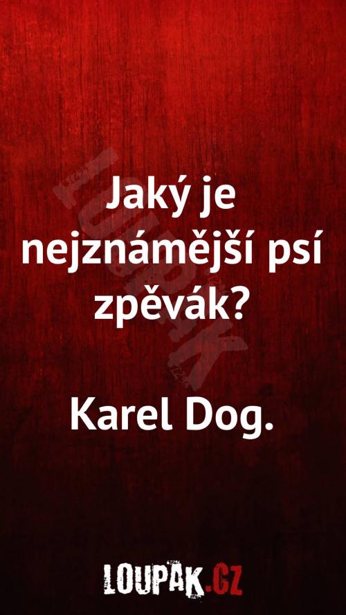  Jaký je nejznámější psí zpěvák 
