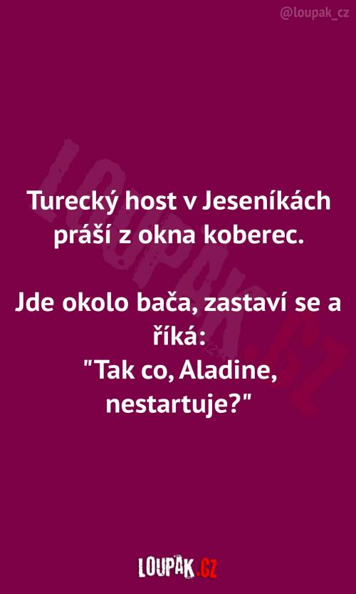  Turecký host práší koberec 