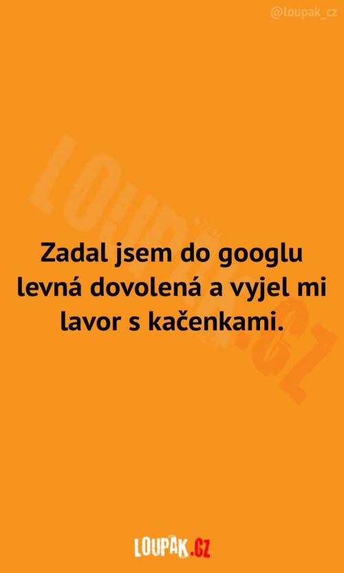  Když chci vidět levnou dovolenou 