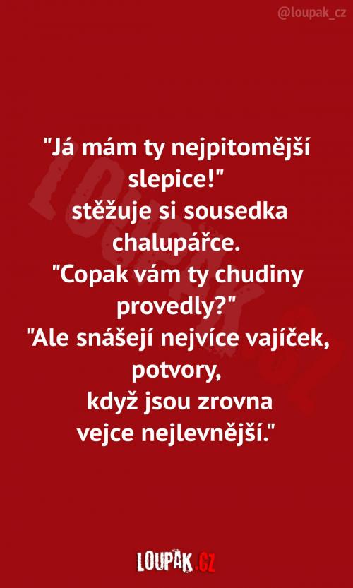 To si to nemohou lépe naplánovat?