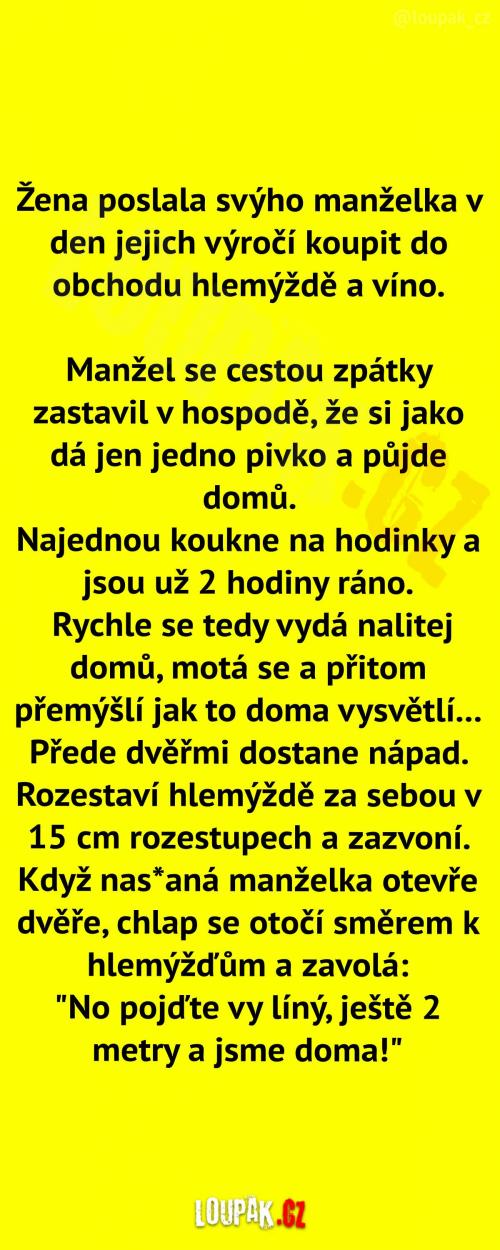  Hlemýžď a víno na výročí  