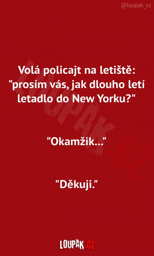  Získání informace na letišti  