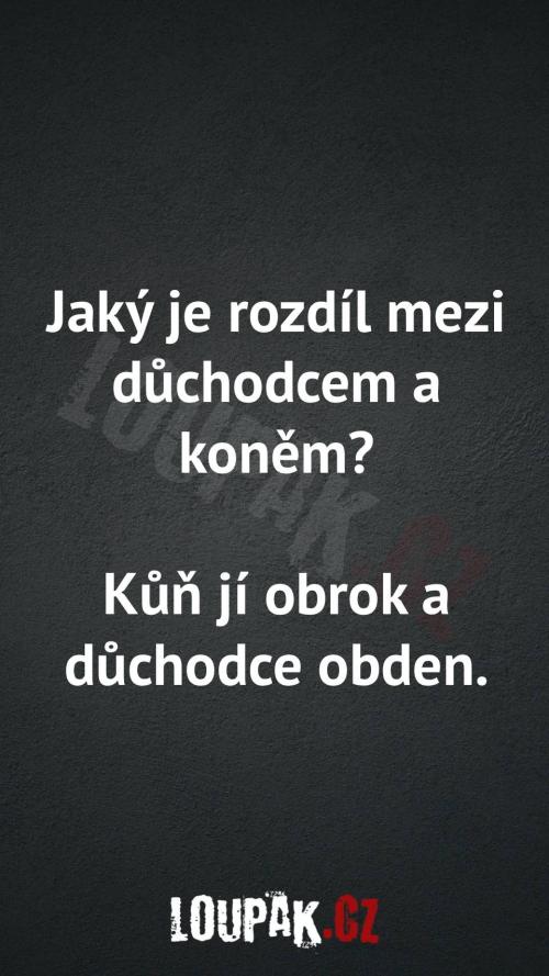  Rozdíl mezi důchodcem a koněm 
