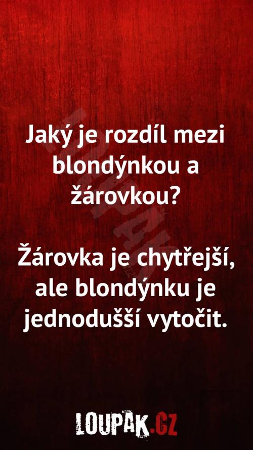  Rozdíl mezi blondýnkou a žárovkou 