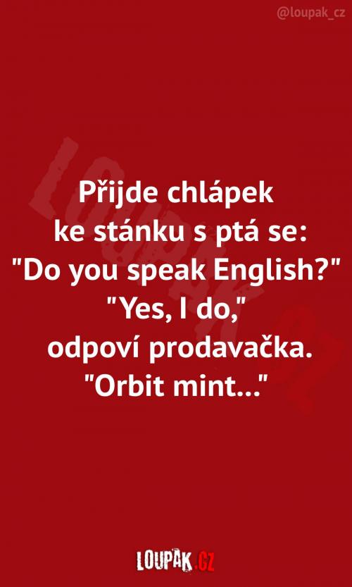  Když se chceš vytáhnout se svým Duolingem: 