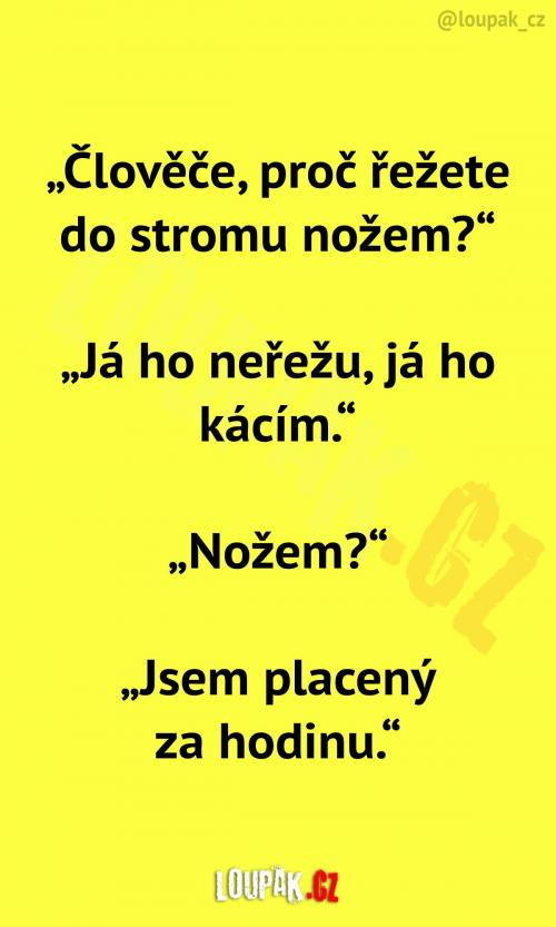  Muž v práci kácí strom 
