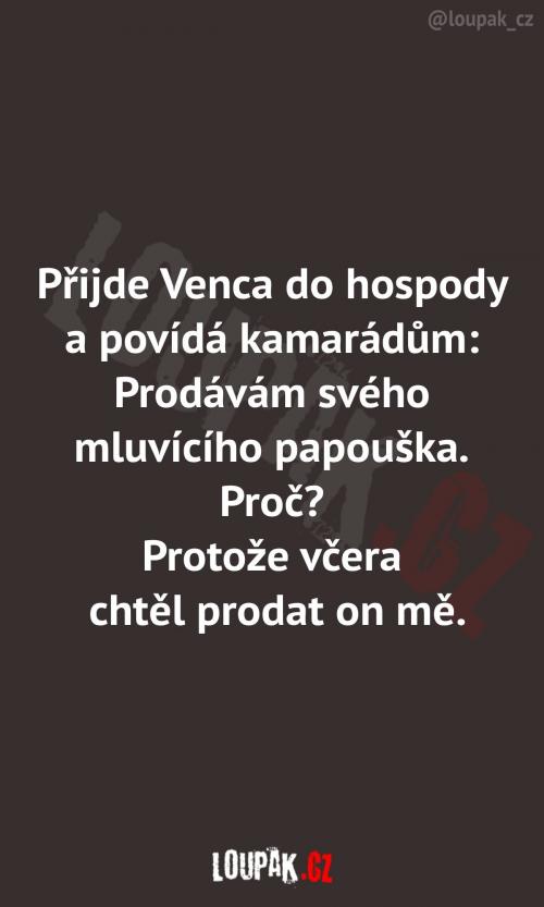  Když si vychováš pořádného škodíka 