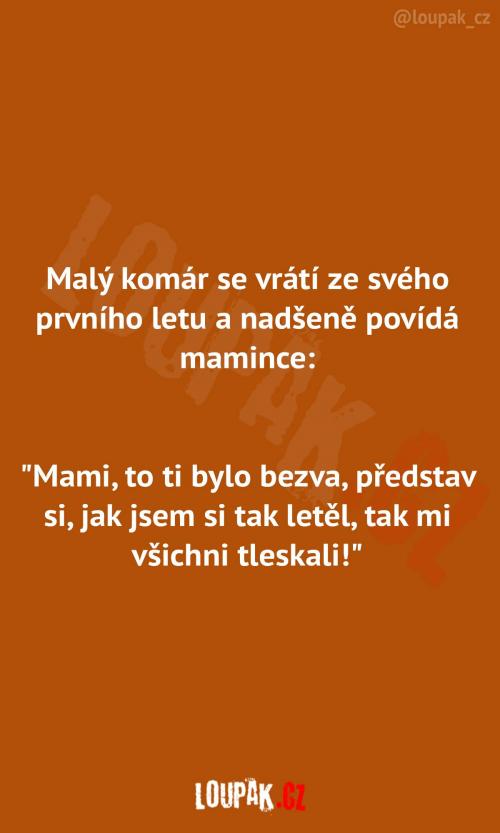  Malý nadšený komár   