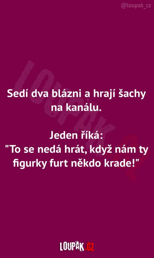  Dva blázni hrají šachy na kanálu 