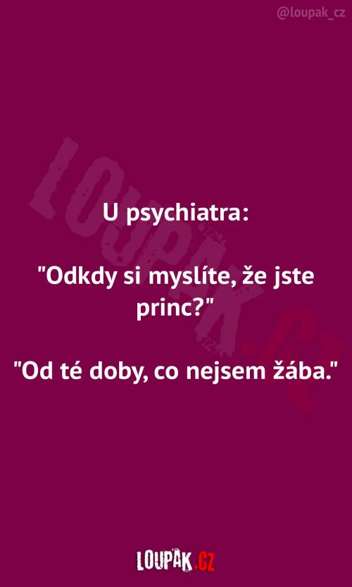  Pacient, co si myslí, že je princ 