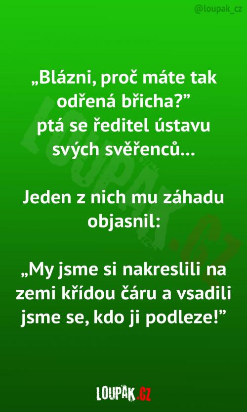  Pár bláznů s ředitelem ústavu 