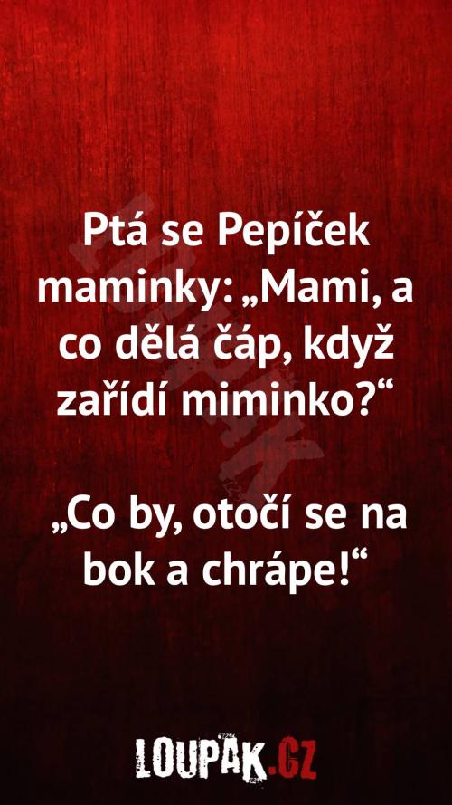 Co dělá čáp s jeho miminkem?