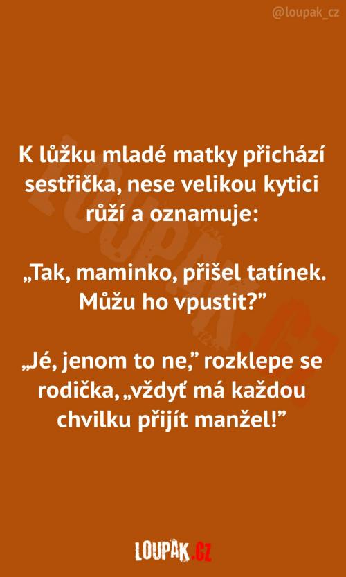 Obrovská kytice pro maminku Obrovská kytice pro maminku