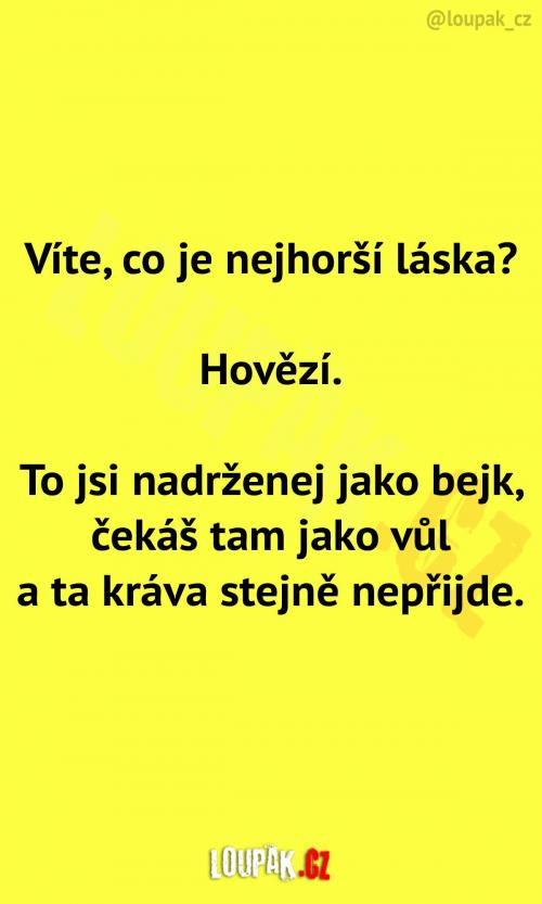 Jaká je ta nejhorší láska na světě? Jaká je ta nejhorší láska na světě?