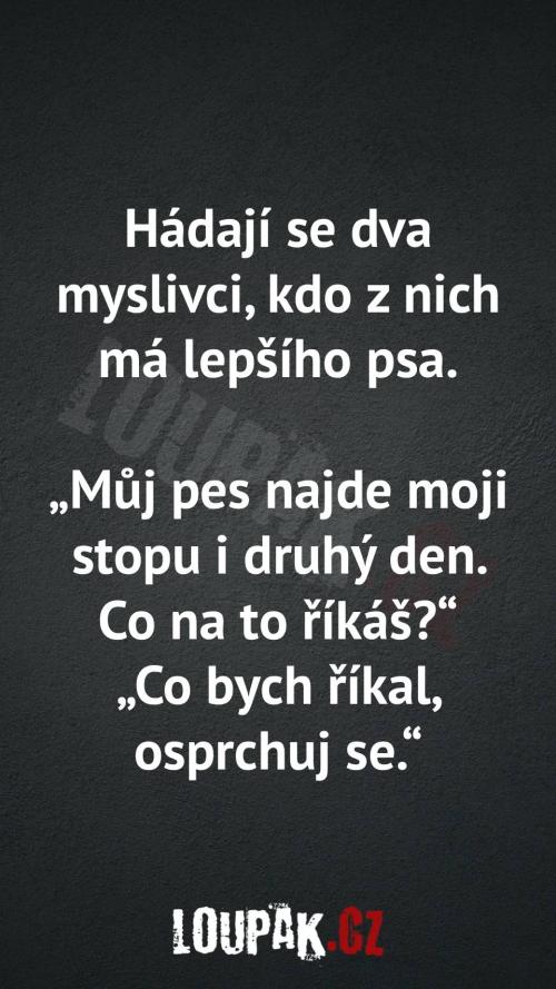 Proč se hádají dva myslivci?