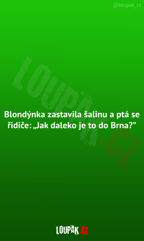  Když blondýnka zastaví šalinu 