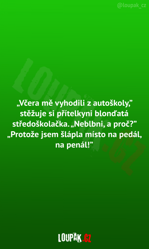  Blondýnka byla vyhozena z autoškoly 