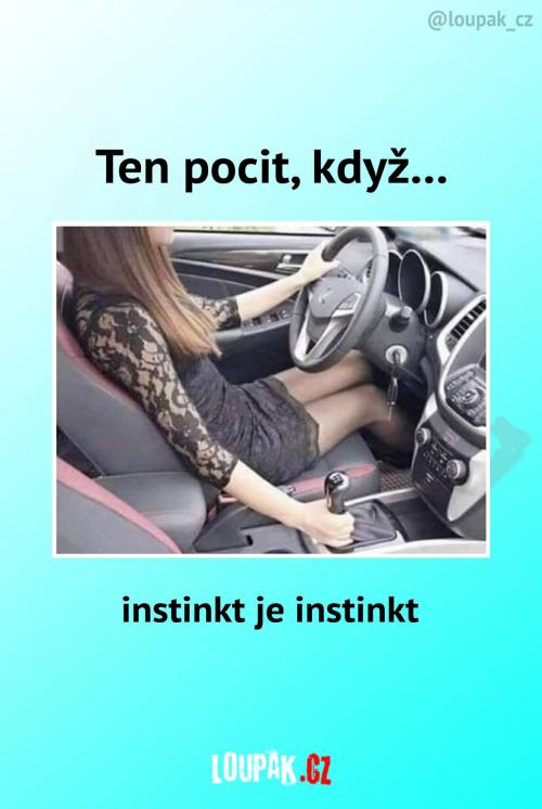 To o něčem vypovídá...