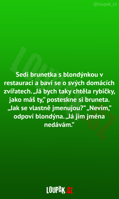  Blondýnka a brunetka v restauraci 