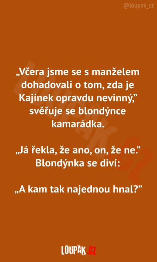 Dohadování o nevinnosti 